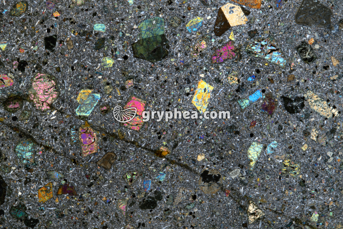 Basalte à olivine LPA x1,6 - gryphea.org